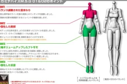 1/1 Megami Device M.S.G 02 Bottoms Set Skin Color C (Reissue)
