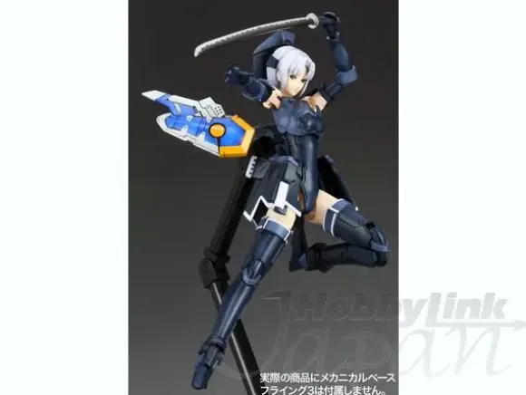 1/12 RAcaseal Shino Ver.APSY