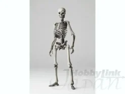 Sci-Fi Revoltech Skeletal Warrior
